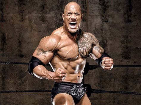 the rock the wrestler|the rock wrestler net worth.